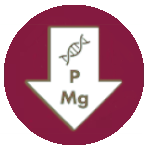 Proteína, fósforo e magnésio reduzidos