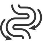 Equilíbrio intestinal