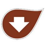 Ingredientes que auxiliam no controle glicêmico