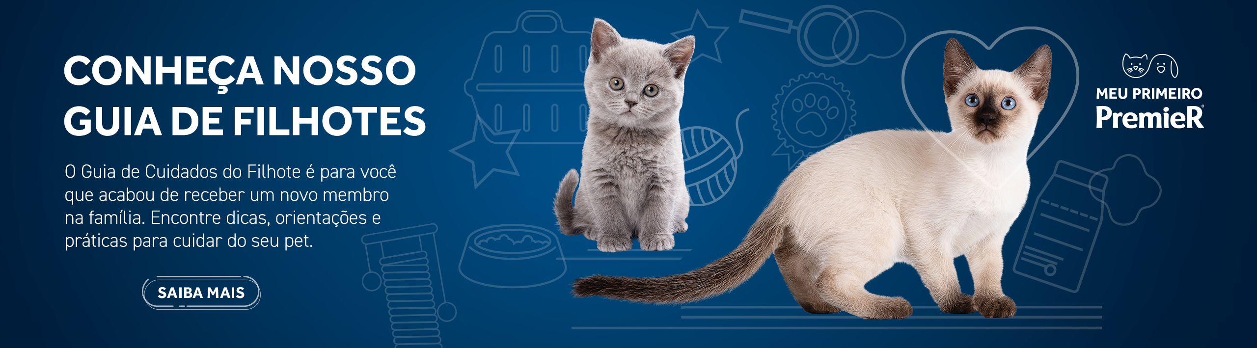 Banner | Guia de filhotes gatos