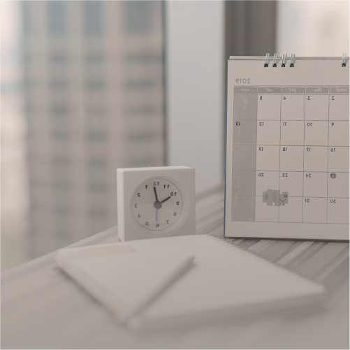 Como criar um calendário promocional para o pet shop vender mais