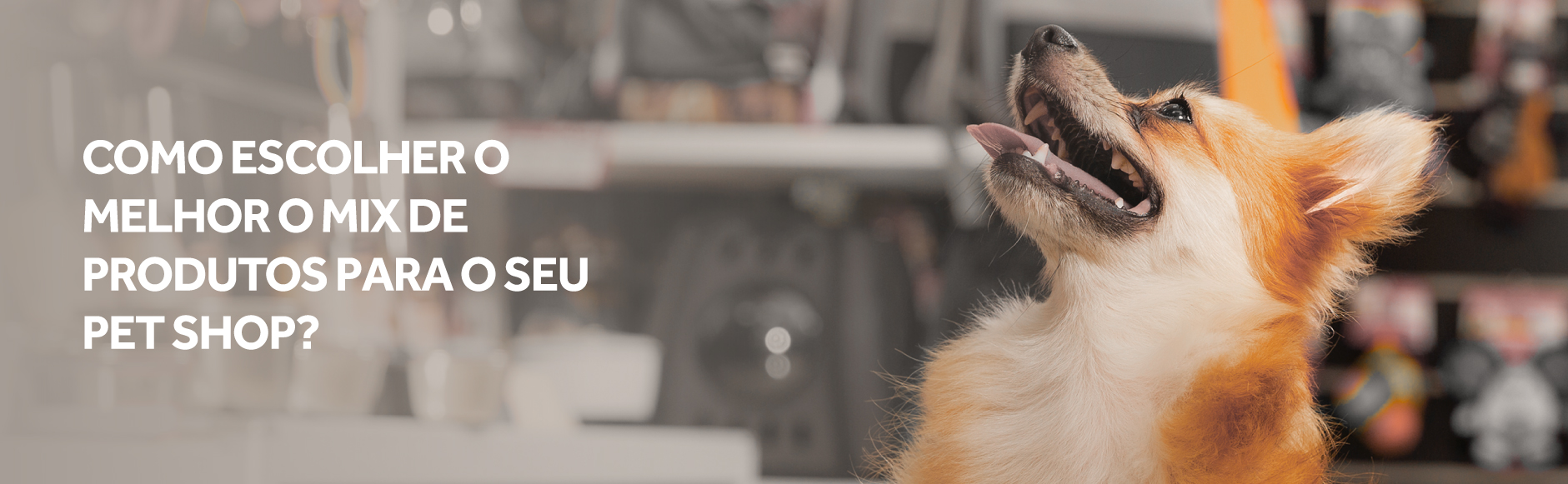 Como escolher o melhor mix de produtos para o meu pet shop