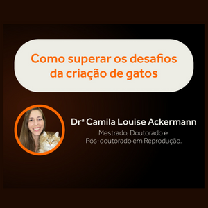 Criador Pet Talk: Como superar os desafios da criação de gatos com Doutora Camila Loise Ackermann