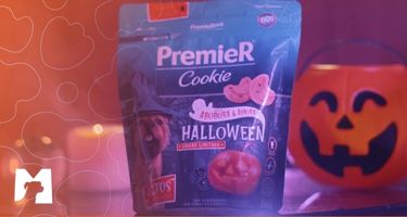 Matchpet news: PremieR Cookie Halloween está de volta! Saiba mais
