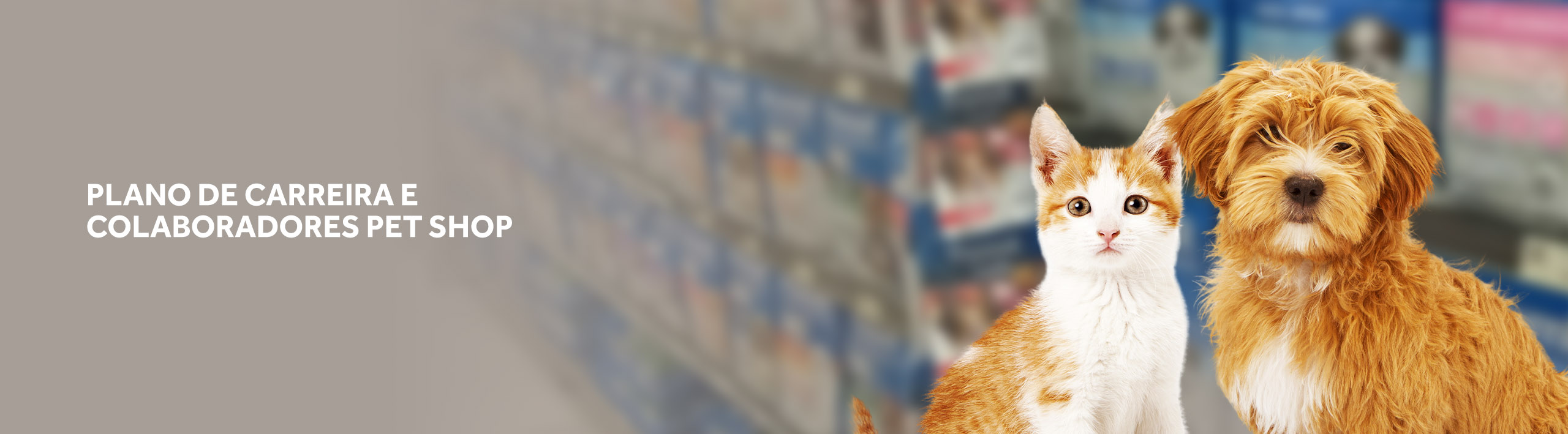 Plano de carreira e colaboradores pet shop