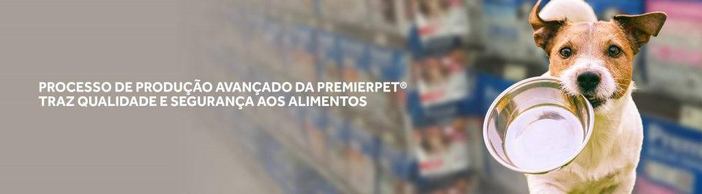 processo de produção avançado