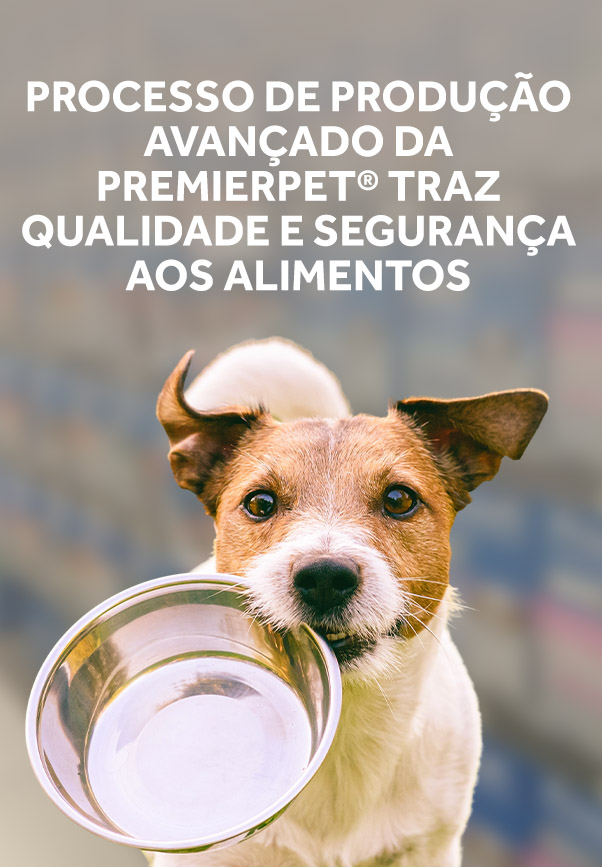 Processo de produção avançado