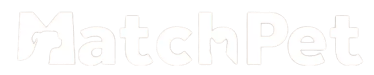 Logo Match