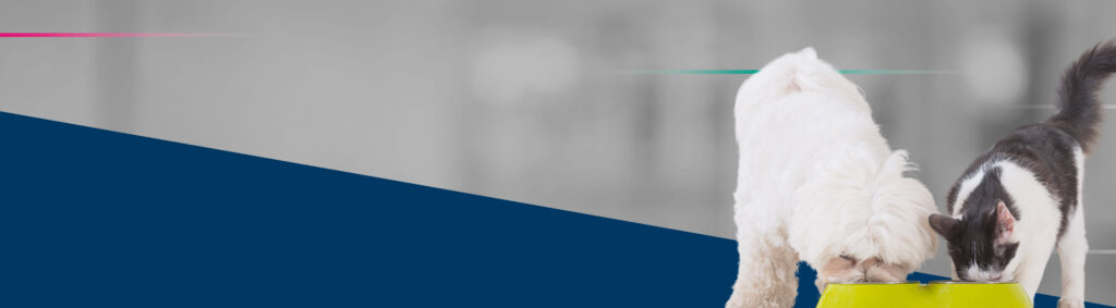 Banner blogpost beta-glucanos