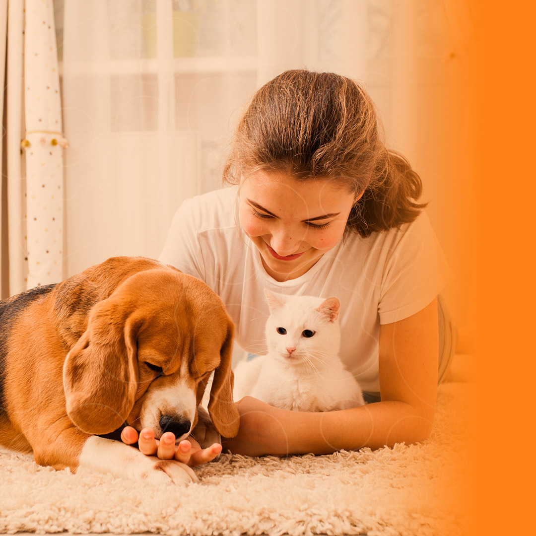 Mulher com seu cão e seu gato em casa