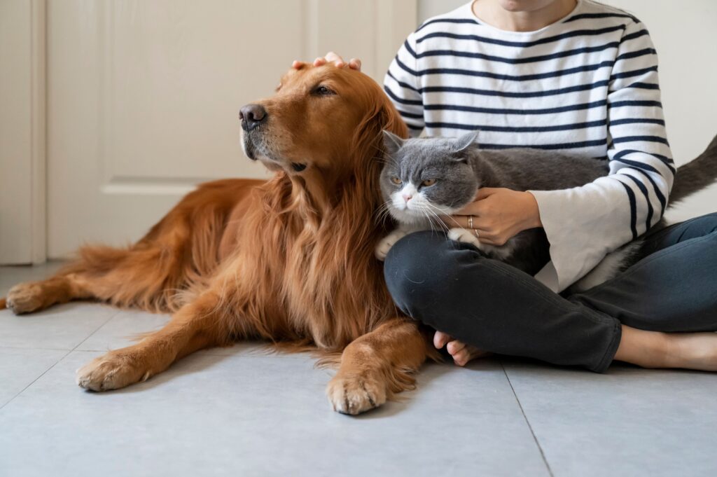 Cão e gato sentados juntos com tutor