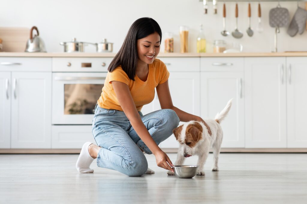 Tutora dando ração para seu cão