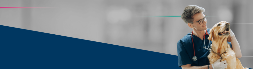 Banner blog vet tratamento de obesidade