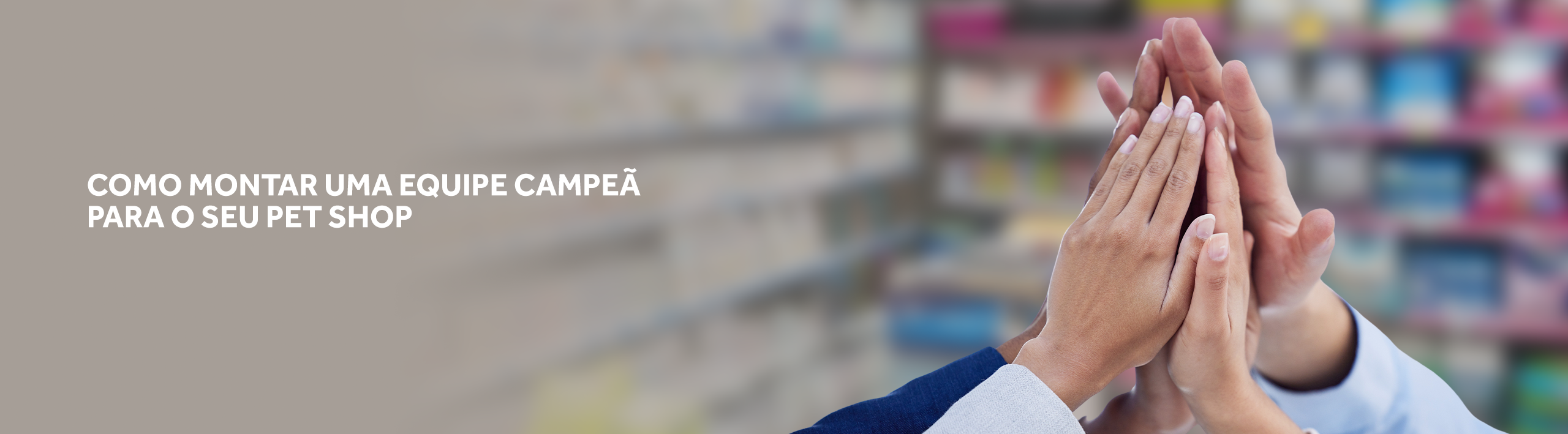Banner blog lojista