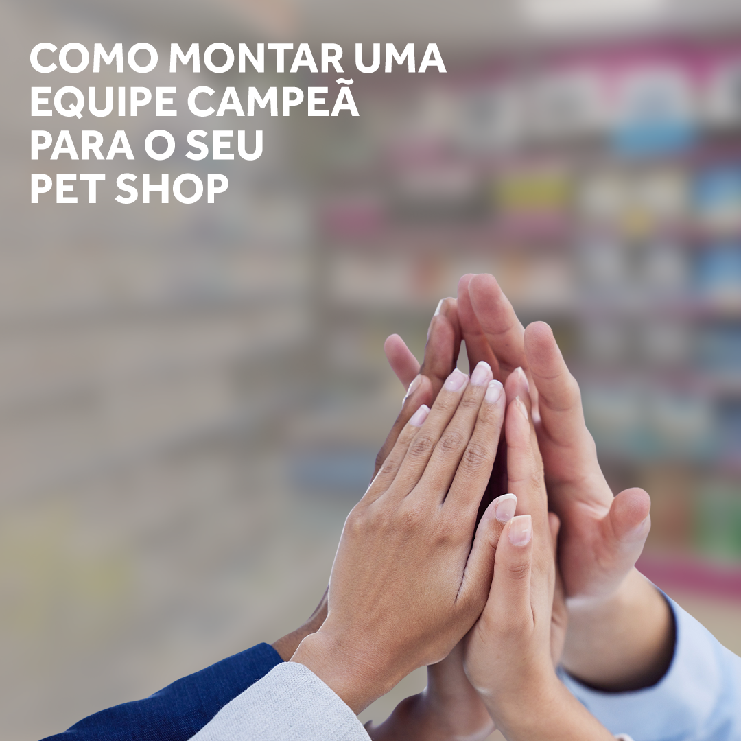 Banner Blog Lojista