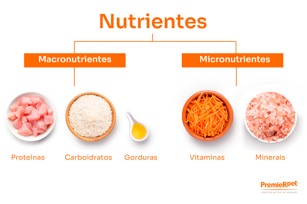 Imagem didática de Micro e Macronutrientes