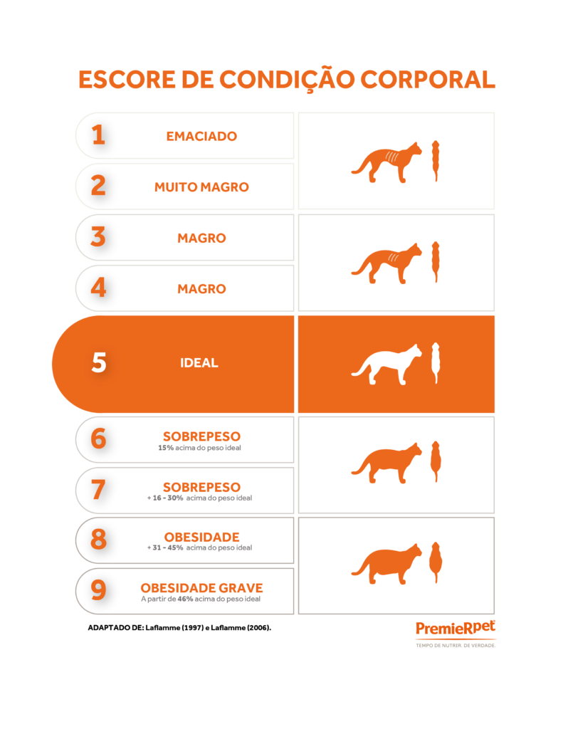 Infográfico Escore de Condição Corporal
