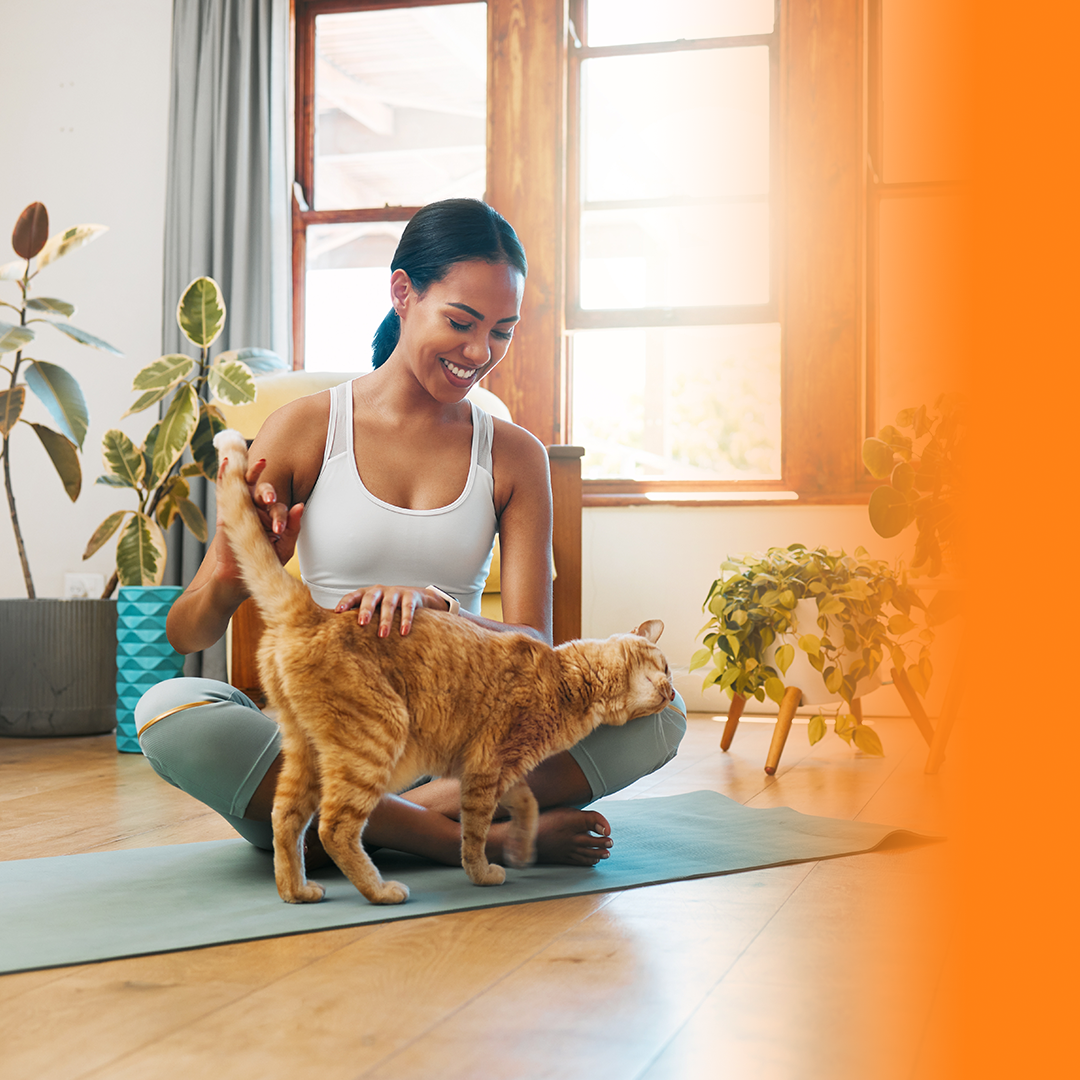 Banner Blog Tutor PremieRpet mulher fazendo carinho em seu gato