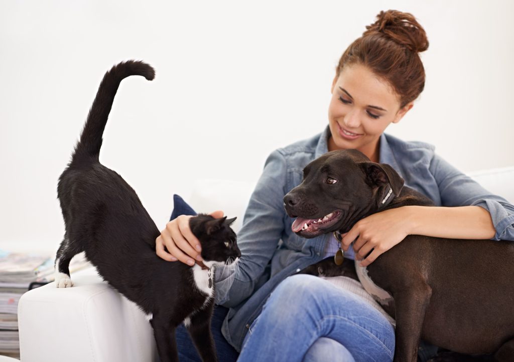 Tutora dando carinho em seu gato e em seu cão