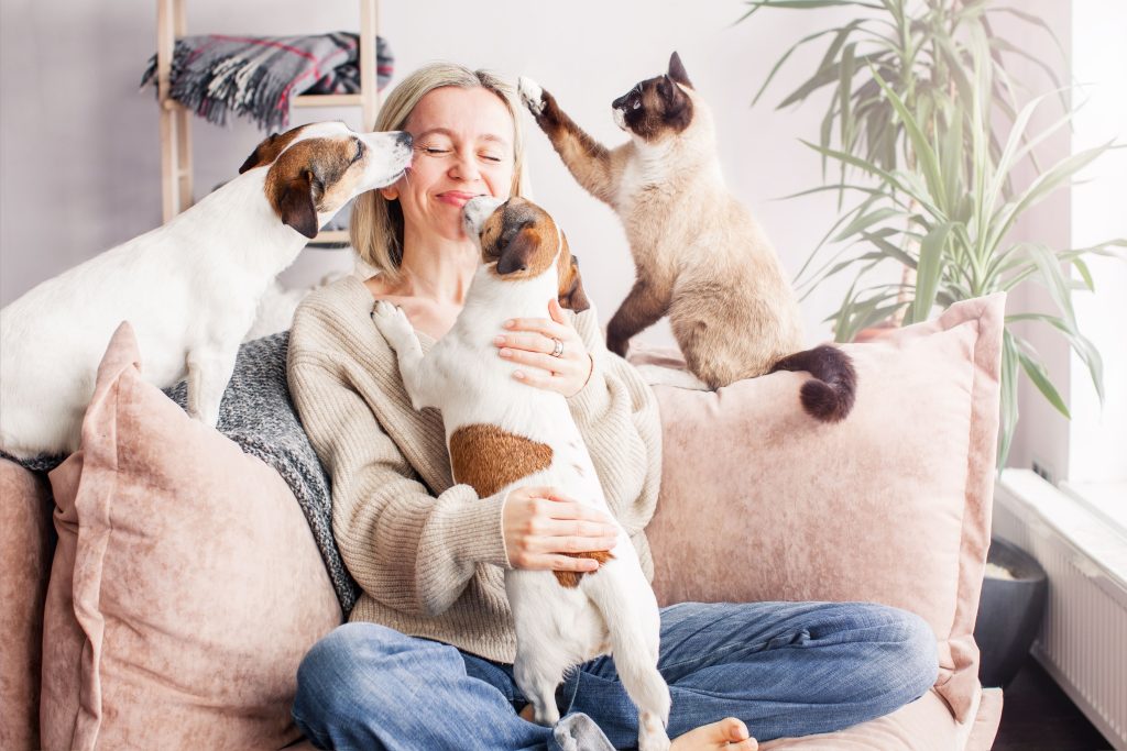 Tutora recebendo carinho dos seus cães e gato
