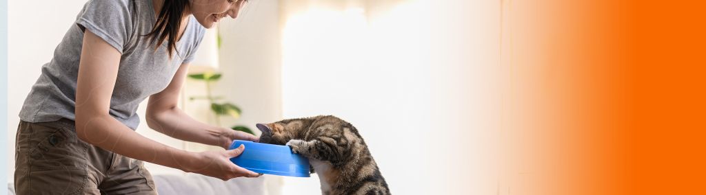 tutor dando comida para o gato em um tigela