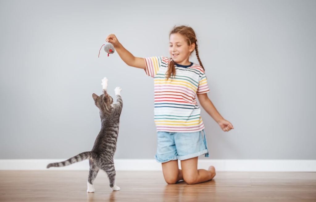 Tutora brincando com gato em apartamento