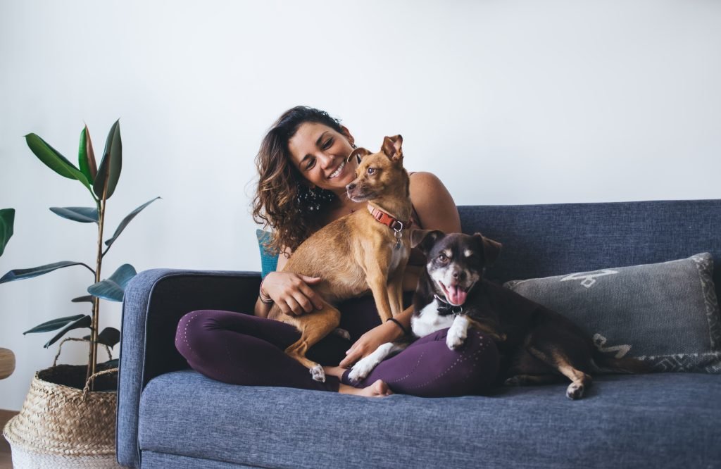 Mulher sentada no sofá com dois cães
