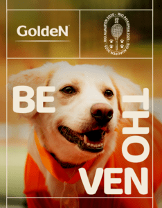 Bethoven CãoDula 2025