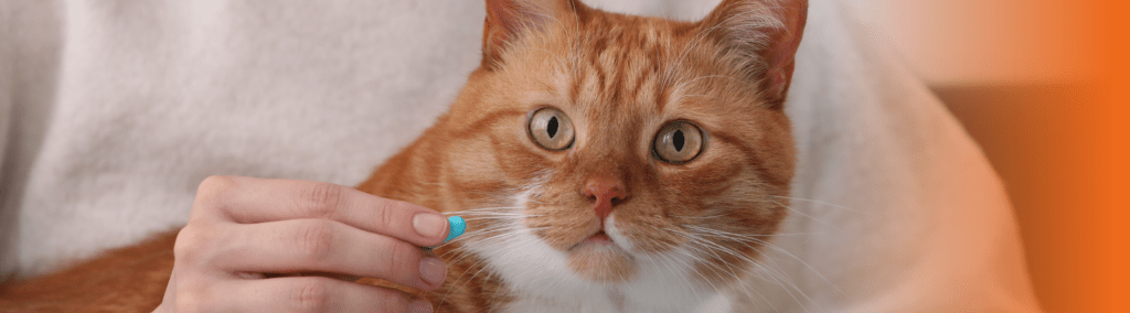 vermífugo gatos