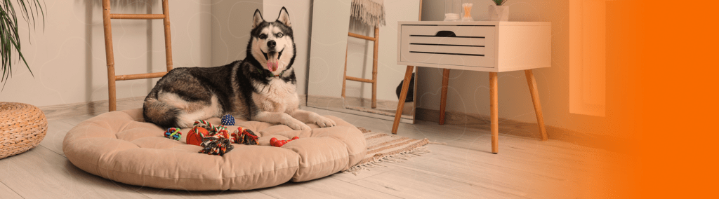 Cão deitado e cercado de brinquedos