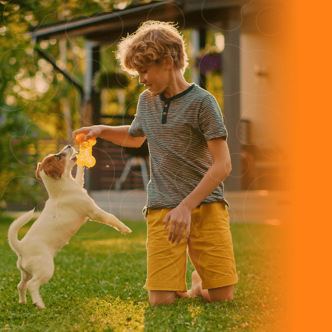 Menino brincando com cachorro no quintal de casa