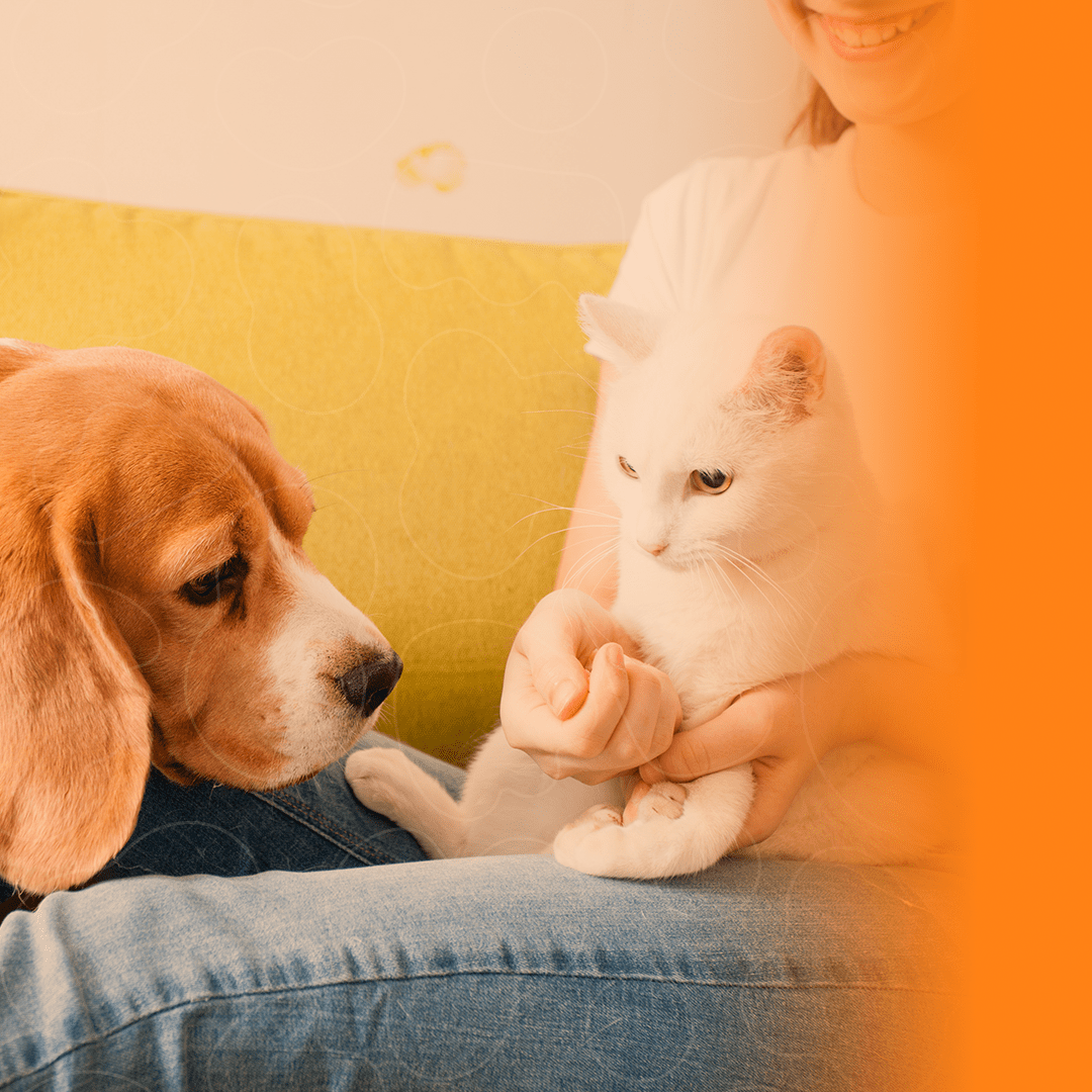 Tutora segurando biscoito na mão enquanto gato está no colo dela e um cão deitado no sofá com eles