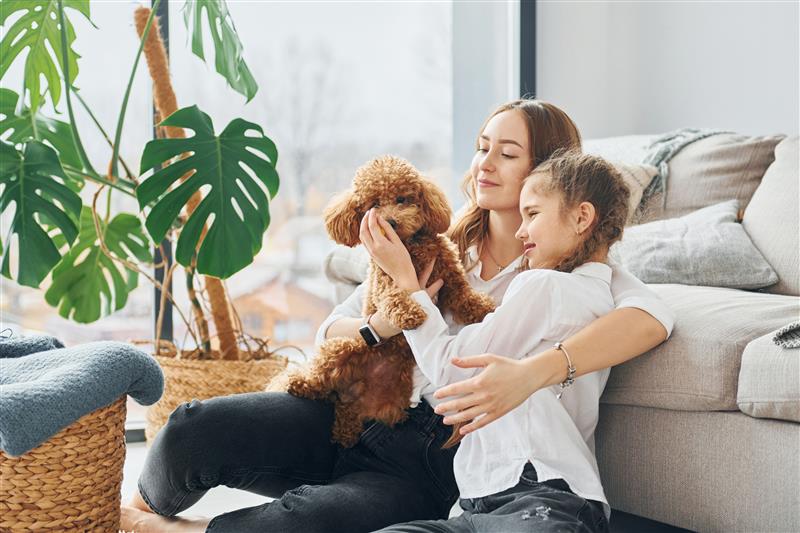 Poodle brincando com mãe e filha em casa