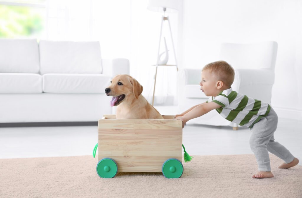 Criança e filhote de Labrador brincando dentro de casa