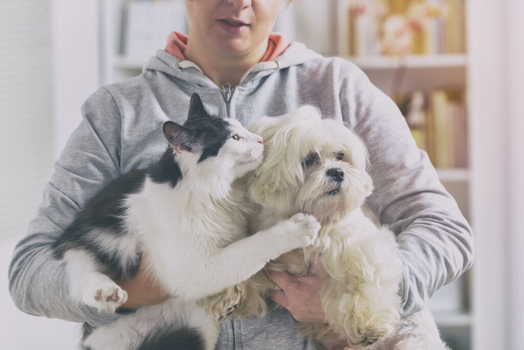 Gato e cão segurados no colo por tutora