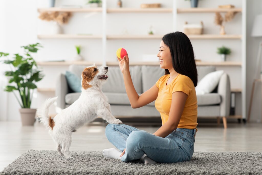 Tutora brincando com filhote dentro de casa